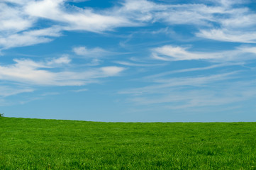 Fototapeta na wymiar Green field