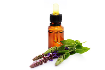 sage essential oil
