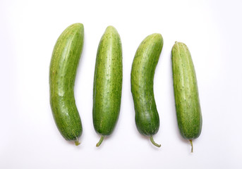 Cucumber
