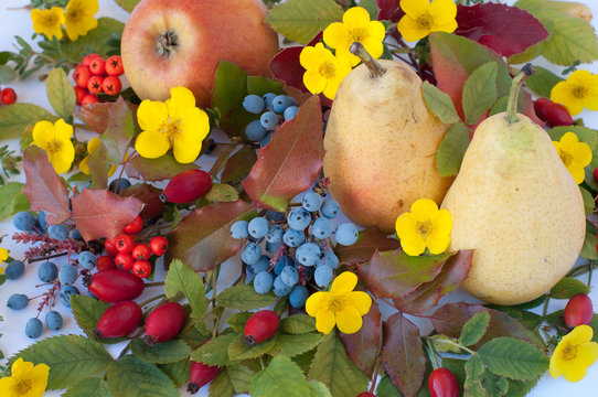 Obst Blumen Bl&auml;tter-Stilleben 381
