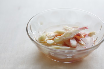 Pickled in vinegar Japanese baby ginger