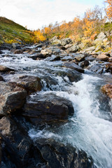 Obraz premium Autumn creek