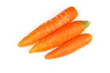 carrot