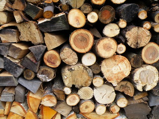 Detail of fire-wood