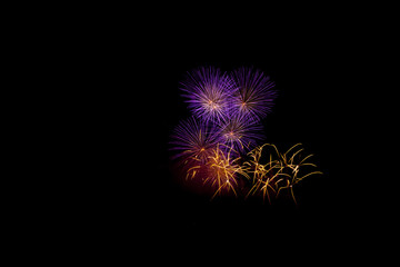 Fototapeta premium Lila,Weiß,Rot,Gelbes Feuerwerk