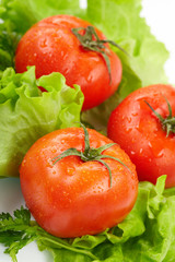 Tomatoes and lettuce  on the  white background