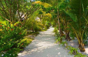 Bungalows on beach and sand pathway