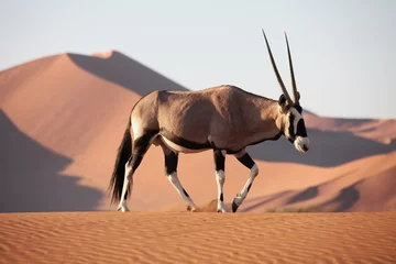 Stof per meter Oryx antilope © Philipp Wininger