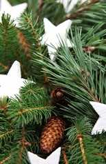 Weiße Weihnachtssterne