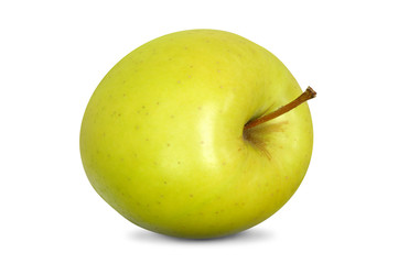 Obst 144