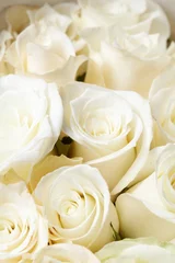 Printed kitchen splashbacks Roses White roses
