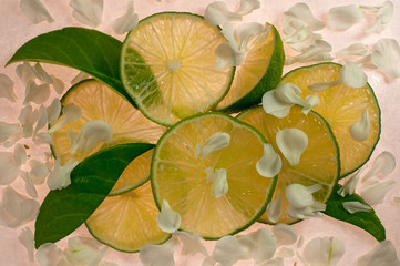 Zitronen Limette 405