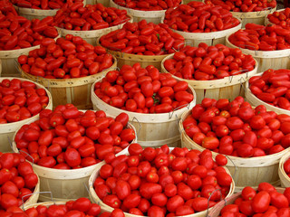 Baskets of tomatoes