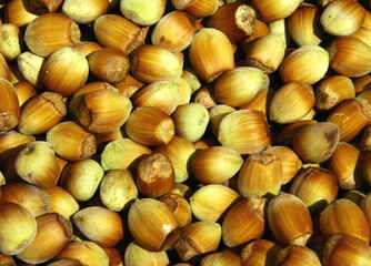 hazelnuts