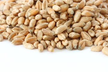 Rye corn close up