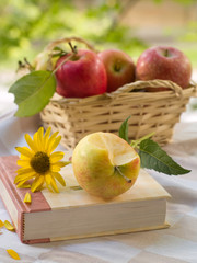 Book and apple