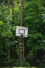 Koszykówka - obrazy, fototapety, plakaty