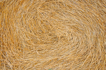 Haystack