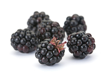 Blackberry berry