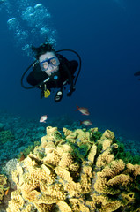 Fototapeta na wymiar scuba diver on reef