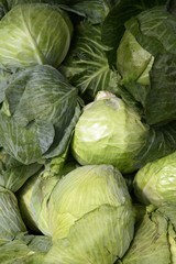 Fototapeta na wymiar cabbage heads