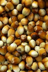 hazelnuts