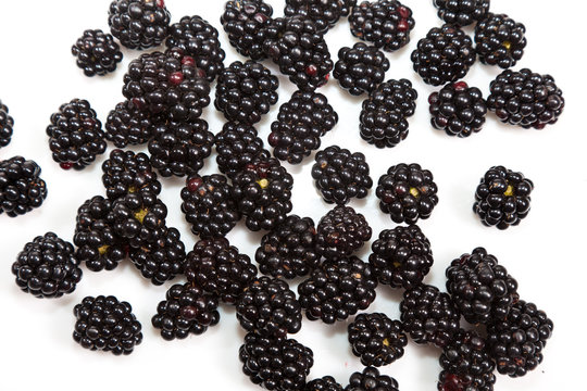 Composition of black raspberries