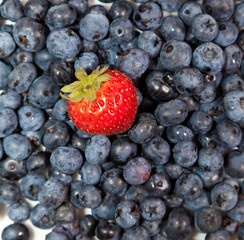 Composition of ripe black and red raspberries, strawberries and