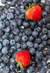 Composition of ripe black and red raspberries, strawberries and