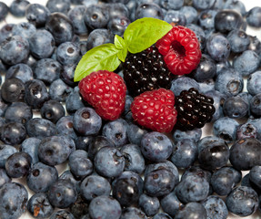 Composition of ripe black and red raspberries, strawberries and