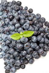 Composition of ripe black and red raspberries, strawberries and