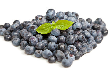 Composition of ripe black and red raspberries, strawberries and