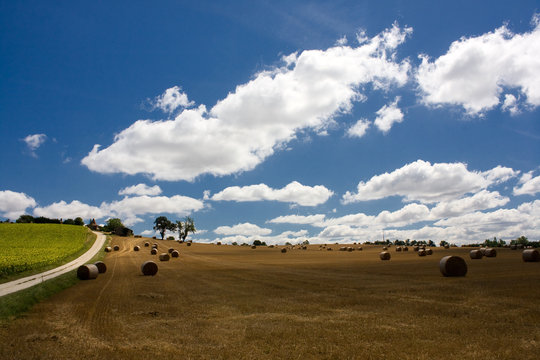Rural French landscape in summer