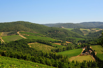 Hill Of Tuscany