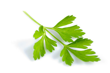 Parsley isolated