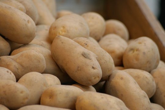 Kartoffeln auf dem Marktstand