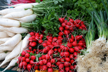 Rettiche,Radieschen und Lauchzwiebeln