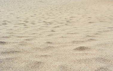 Sand after rain.