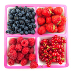 assortment fresh fruit
