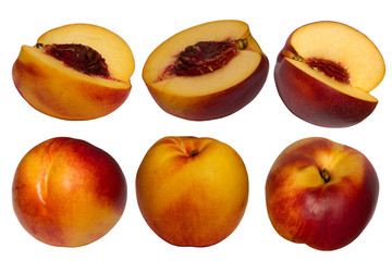 Fruit  hybrid  peach  apricot  collection