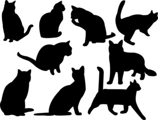 cats silhouettes vector