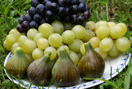 Obstteller,Weintrauben und Feigen