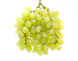 fresh grape fruits