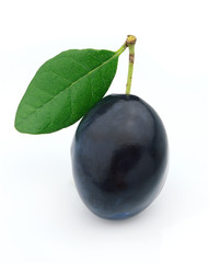 Ripe plum