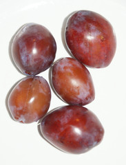 Pflaume