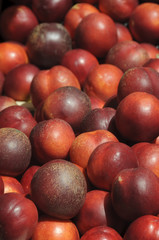 Fresh nectarines at fruit market
