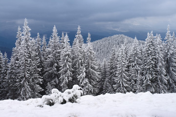Obraz premium winter in mountains