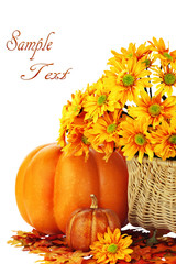 Autumn Background