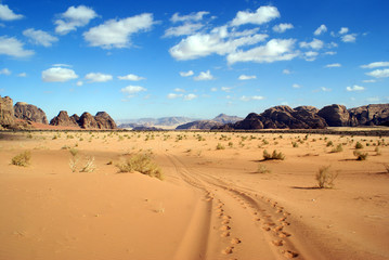 Fototapeta na wymiar Pustynia Wadi Rum