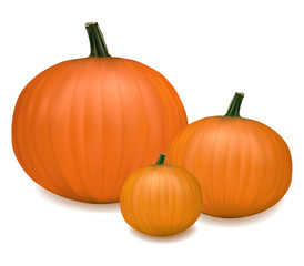 Group of fresh pumpkins. Photo-realistic vector.